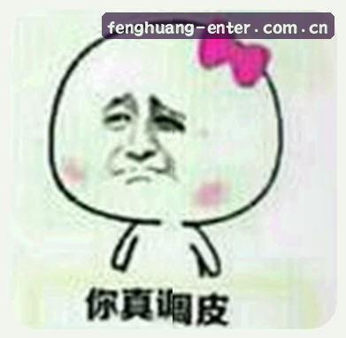 刘总